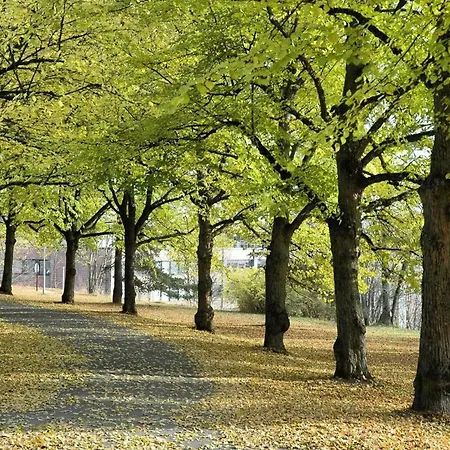 Cozy In Apartment Lahti