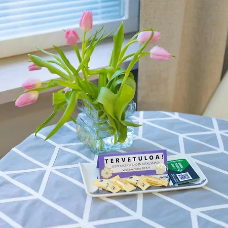 Apartment Cozy In Lahti